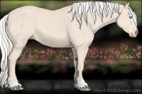 Horse Color:Silver Smoky Creme 