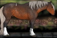 Horse Color:Silver Buckskin Tobiano Rabicano