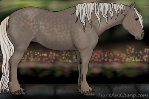 Horse Color:Silver Black 