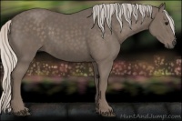 Horse Color:Silver Black
