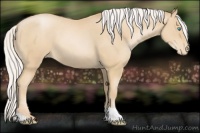 Horse Color:Silver Smoky Black Pearl Tobiano Appaloosa Rabicano 