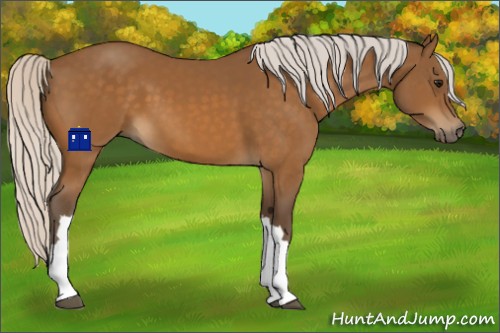 Horse Color:Silver Buckskin 