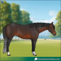 Horse Color:Brown 