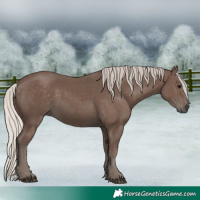 Horse Color:Silver Black 
