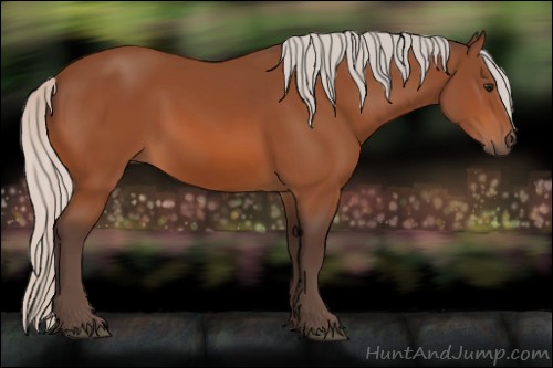 Horse Color:Silver Bay 