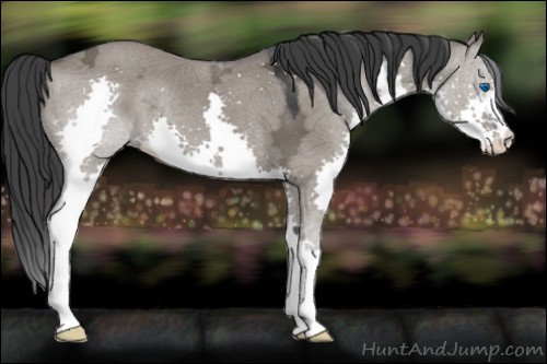 Horse Color:Grullo Ice Splash 
