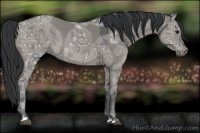 Horse Color:Grullo Ice 