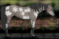 Horse Color:Grullo Ice 