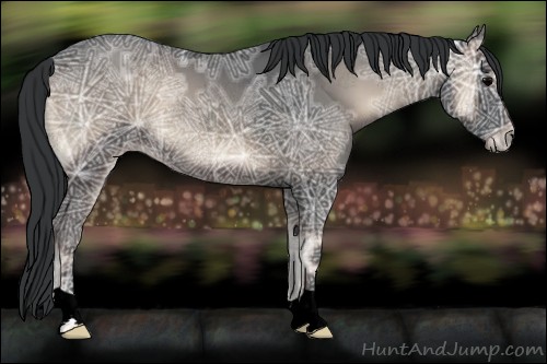 Horse Color:Void Blue Onyx Ice 