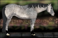 Horse Color:Void Blue Onyx Ice 