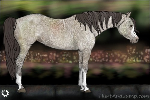 Horse Color:Smoky Grullo Ice 