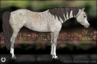 Horse Color:Smoky Grullo Ice 