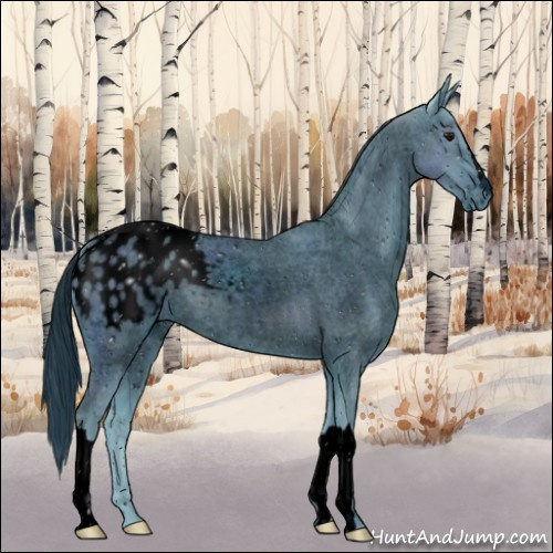 Horse Color:ERROR: UNKNOWN ANOMALY