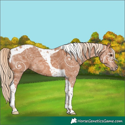 Horse Color:Chestnut Ice Tobiano