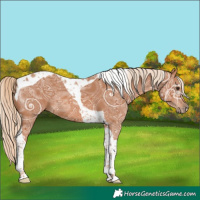 Horse Color:Chestnut Ice Tobiano 