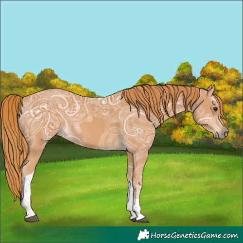 Horse Color:Chestnut Ice Tobiano 
