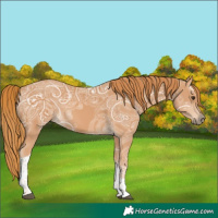 Horse Color:Chestnut Ice Tobiano 