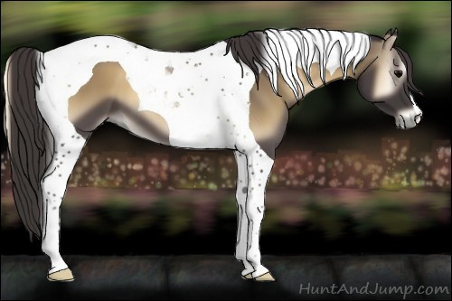 Horse Color:Smoky Blue Onyx Tobiano 