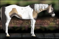 Horse Color:Smoky Blue Onyx Tobiano 