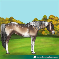Horse Color:Liver Red Onyx Tobiano 
