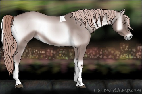 Horse Color:Platinum Red Onyx Tobiano
