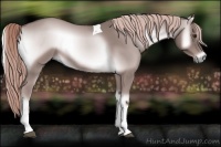 Horse Color:Platinum Red Onyx Tobiano 