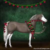 Horse Color:Silver Black Splash