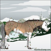 Horse Color:Bay Dun Splash 