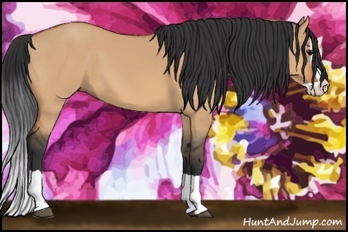 Horse Color:Bay Dun Splash