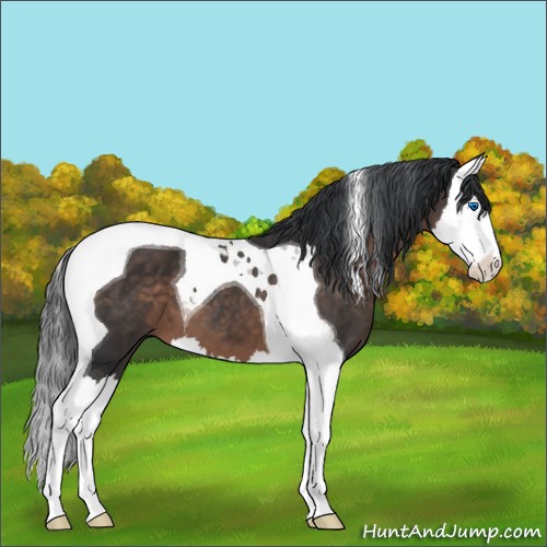 Horse Color:Brown Splash Tobiano