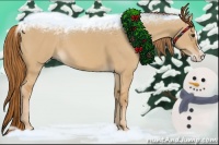 Horse Color:Red Dun Splash 