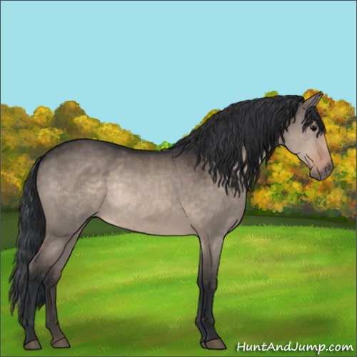 Horse Color:Brown Dun Rabicano 
