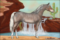 Horse Color:Liver Red Roan Mushroom 
