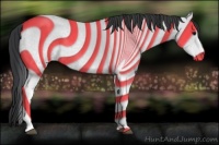 Horse Color:White Spotted Blue Roan 
