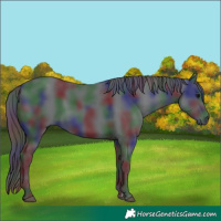 Horse Color:Nacre Black 