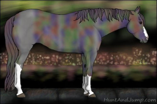 Horse Color:Nacre Black 