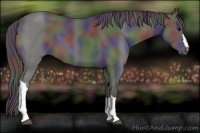 Horse Color:Nacre Black 