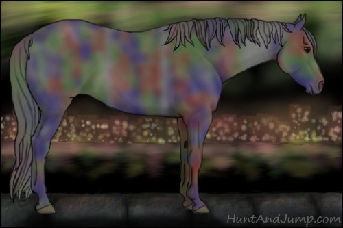 Horse Color:Nacre Black 