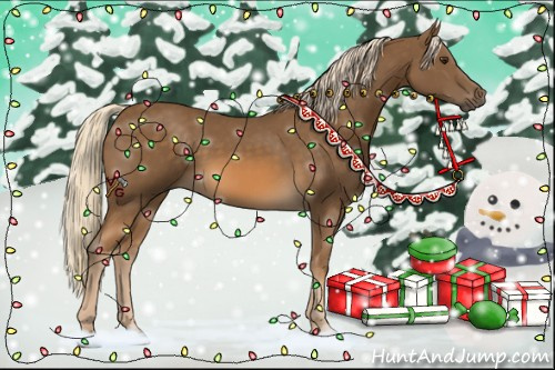 Horse Color:Chocolate Palomino 