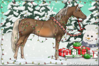 Horse Color:Chocolate Palomino 