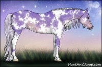 Horse Color:Watercolor White Spotted Silver Smoky Black 