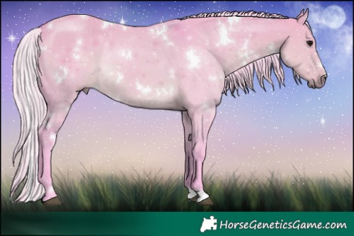 Horse Color:Watercolor White Spotted Silver Smoky Grullo 