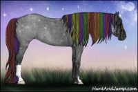 Horse Color:Painted Blue Roan 