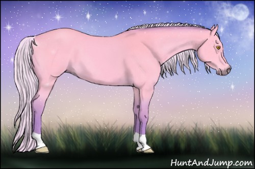 Horse Color:Watercolor Silver Buckskin 