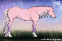Horse Color:Watercolor Silver Buckskin 