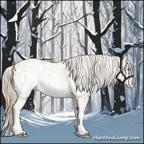 Horse Color:Perlino Splash and Perlino Splash