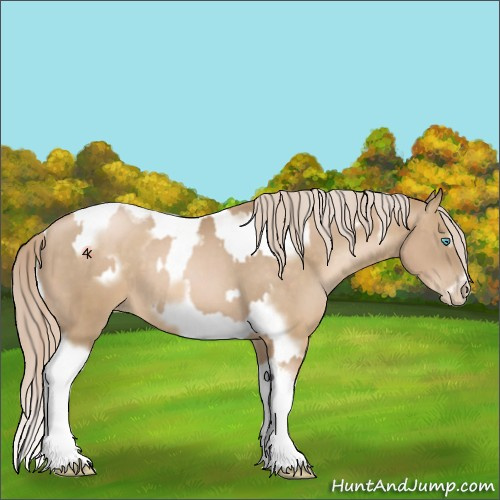 Horse Color:Chocolate Palomino Pearl Tobiano Frame  and Chocolate Palomino Pearl Tobiano Frame 