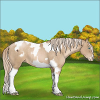 Horse Color:Chocolate Palomino Pearl Tobiano Frame  and Chocolate Palomino Pearl Tobiano Frame 
