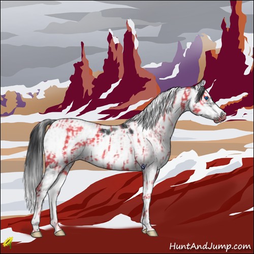 Horse Color:Black Splash Tobiano Frame  and Black Splash Tobiano Frame 