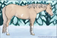 Horse Color:Silver Classic Champagne Dun Splash Frame 